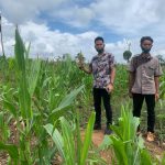 Di Sela Reses Sutomo Jabir Mengunjungi Lahan Pertanian dan Peternakan Warga Hingga Bermain Futsal