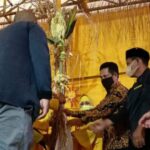 Asisten II Suroto Tutup Acara Adat Pelas Tanah Ke V