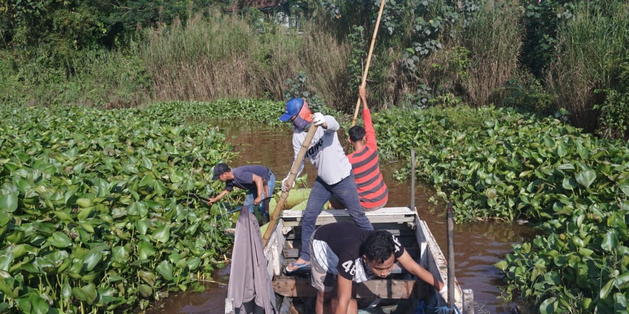 Eceng Gondok Sebabkan Luapan Sungai, Nelayan Sulit Dapat Ikan