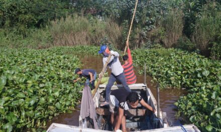 Eceng Gondok Sebabkan Luapan Sungai, Nelayan Sulit Dapat Ikan