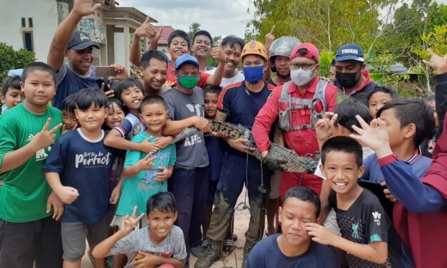 Buaya Masuk ke Kolam Warga, Tim Rescue DPKP Kutim Berhasil Mengevakuasi