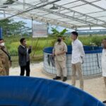 Akhmed Reza Fachlevi  bersama Ketua Komisi IV DPR RI Sambangi Budidaya Ikan Sistem Bioflok