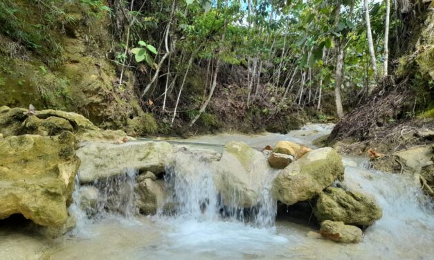 Kutim Diharap Jadi Penyangga Pariwisata IKN