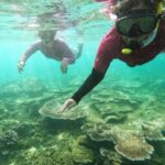 Destinasi Ekowisata Pantai Alien Menyimpan Pesona Bawah Laut Luar Biasa