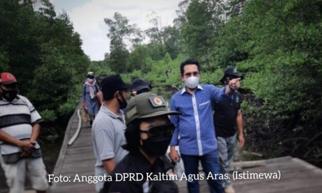 Jadi Daerah Destinasi Pariwisata, DPRD Kaltim Minta Pemprov Benahi Infrastruktur di Kabupaten Berau