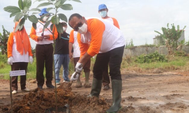 100 Bibit Pohon Langka, Ditanam Kwarcab Kutim