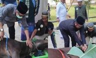 Bupati Kutim dan Wabup Hadir di Penyembelihan Hewan Qurban Masjid Agung Al Faruq