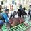 Wabup Kasmidi Sembelih Hewan Qurban di Masjid Agung Al Faruq