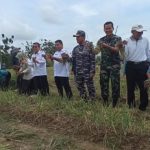 Panen Perdana Bawang Merah di Desa Singa Geweh, Ardiansyah Yakin Akan Jadi Varietas Lokal