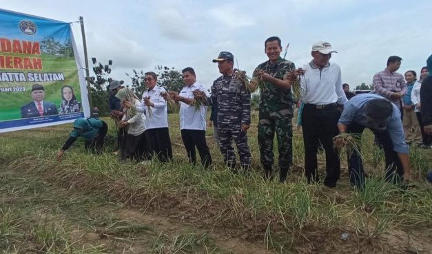 Panen Perdana Bawang Merah di Desa Singa Geweh, Ardiansyah Yakin Akan Jadi Varietas Lokal