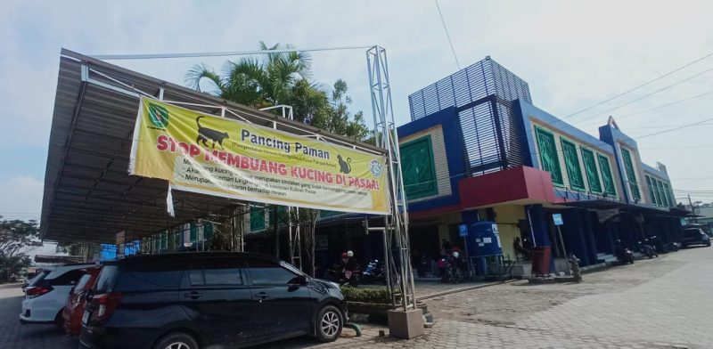 Masuk Dalam Penilaian Pasar, Masyarakat Diminta Jangan Buang Kucing di Pasar Induk