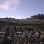 Penggunaan Lahan Petani Masuk KBK, DTPHP Kutim Koordinasikan Dengan Dishut Kaltim