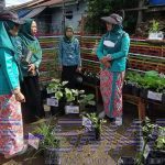 TP PKK Kecamatan Muara Bengkal Laksanakan SMEP ke 4 di Desa Benua Baru