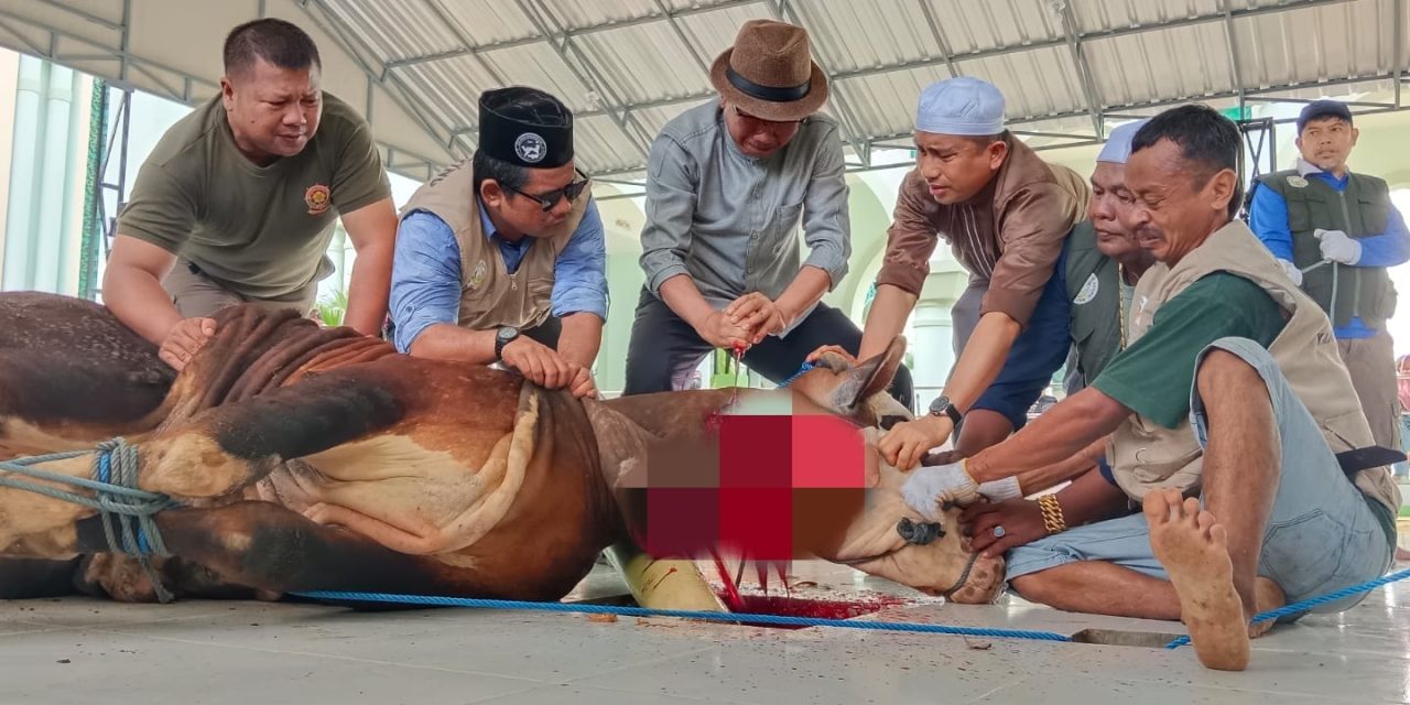 Bupati Ardiansyah Sembelih Hewan Qurban di Masjid Agung Al Faruq Sangatta