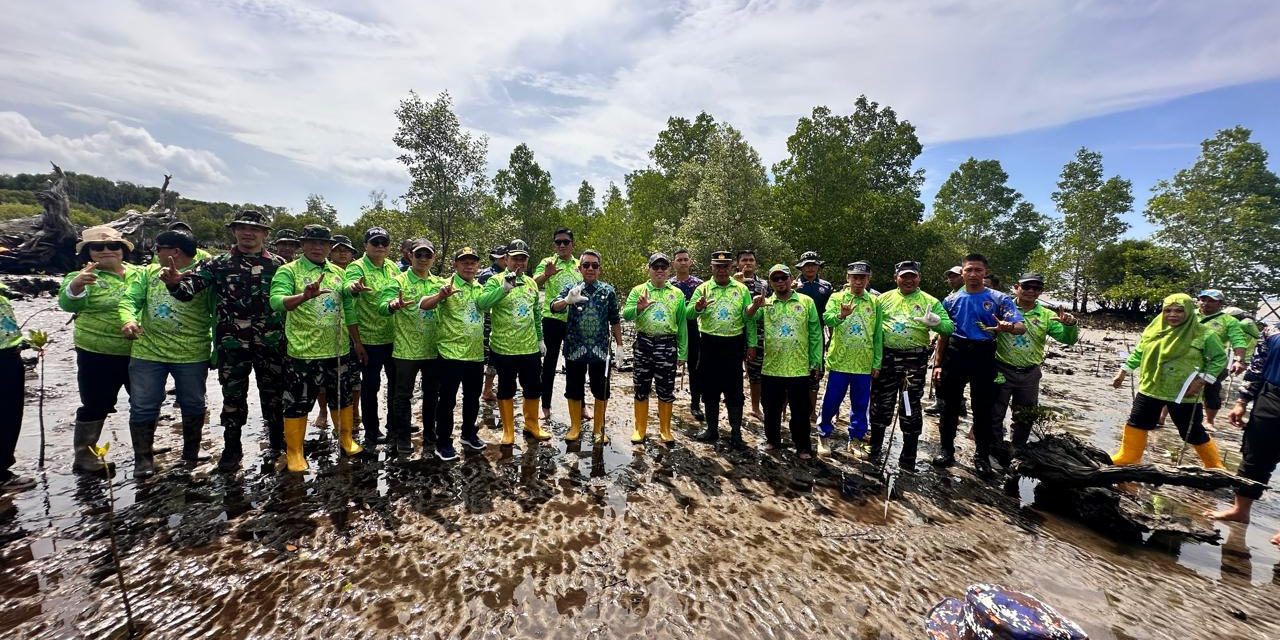 Pemkab Kutim Lakukan Penyulaman Mangrove di Pantai Teluk Lingga