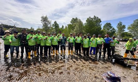 Pemkab Kutim Lakukan Penyulaman Mangrove di Pantai Teluk Lingga