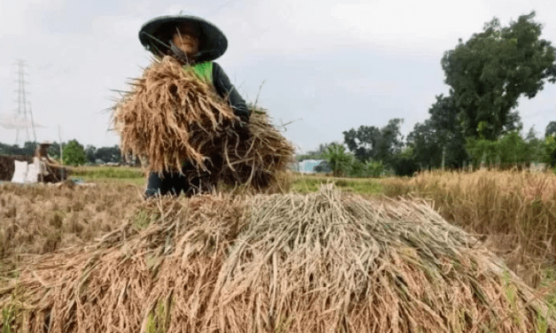 Urgensi Pemetaan Lahan Pertanian di Kaltim Demi Mendukung Swasembada Pangan