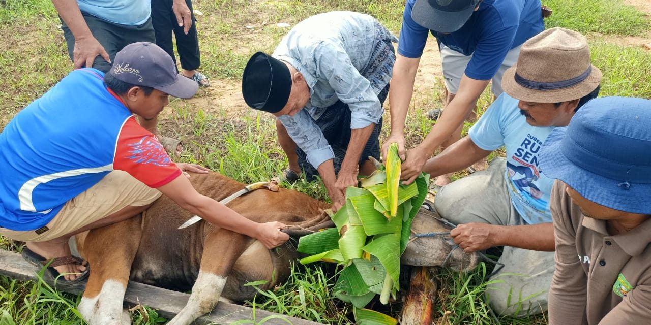 PWRI Kutim Sembelih Hewan Qurban Bersama Warga Gang Rukun