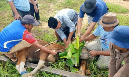 PWRI Kutim Sembelih Hewan Qurban Bersama Warga Gang Rukun