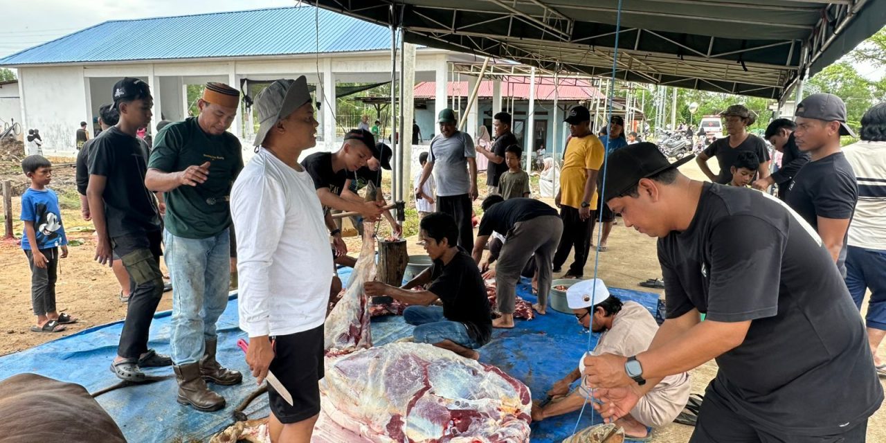 Masjid Jannatul Huda Kanal 3 Sembelih 5 Hewan Kurban, Dua Sapi Bantuan Bupati dan Wabup Kutim